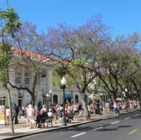 Apartment W Stunning View - Marina - Free Parking & Ac Funchal  Eksteriør billede